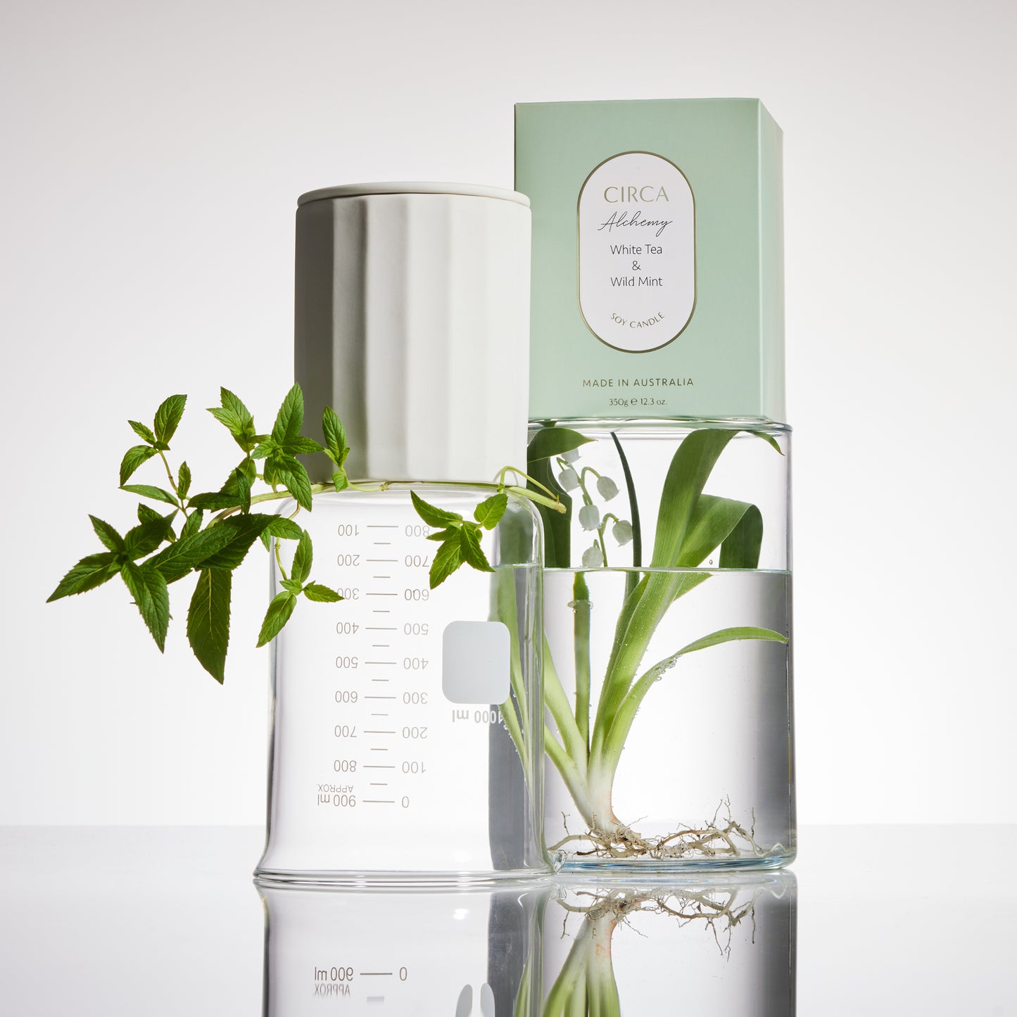 Circa White Tea & Wild Mint Ceramic Candle 350g