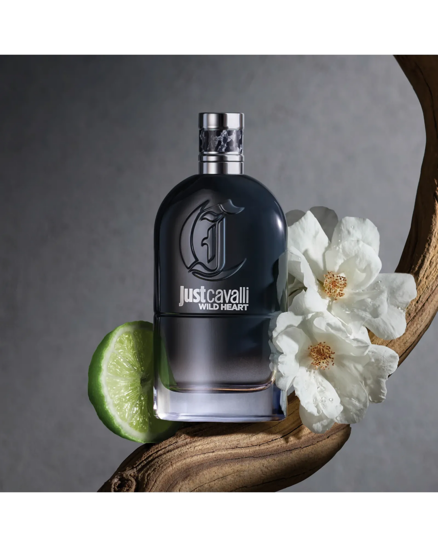 Just Cavalli Wild Heart For Him EDT 90ml