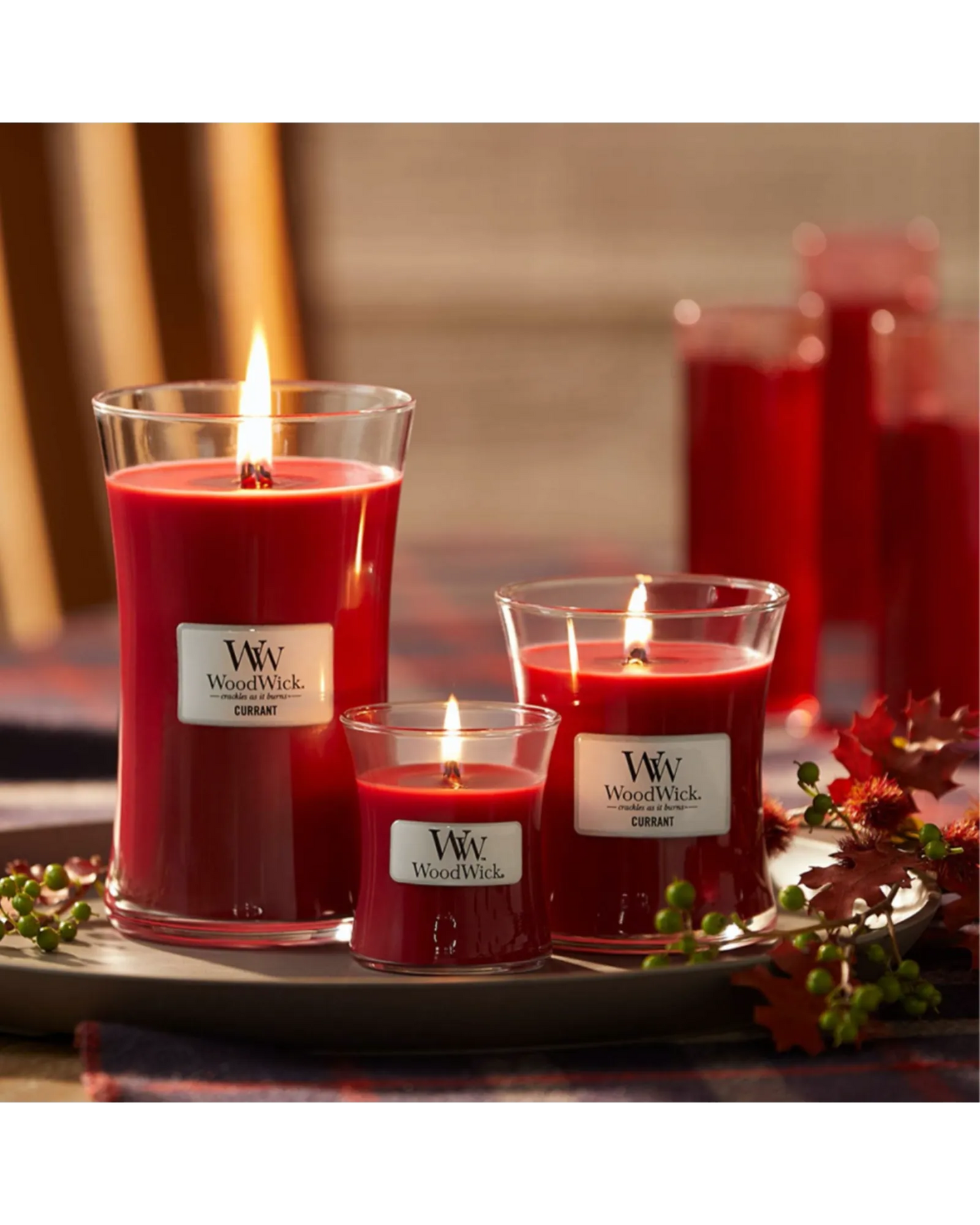 WoodWick Candle Currant Medium