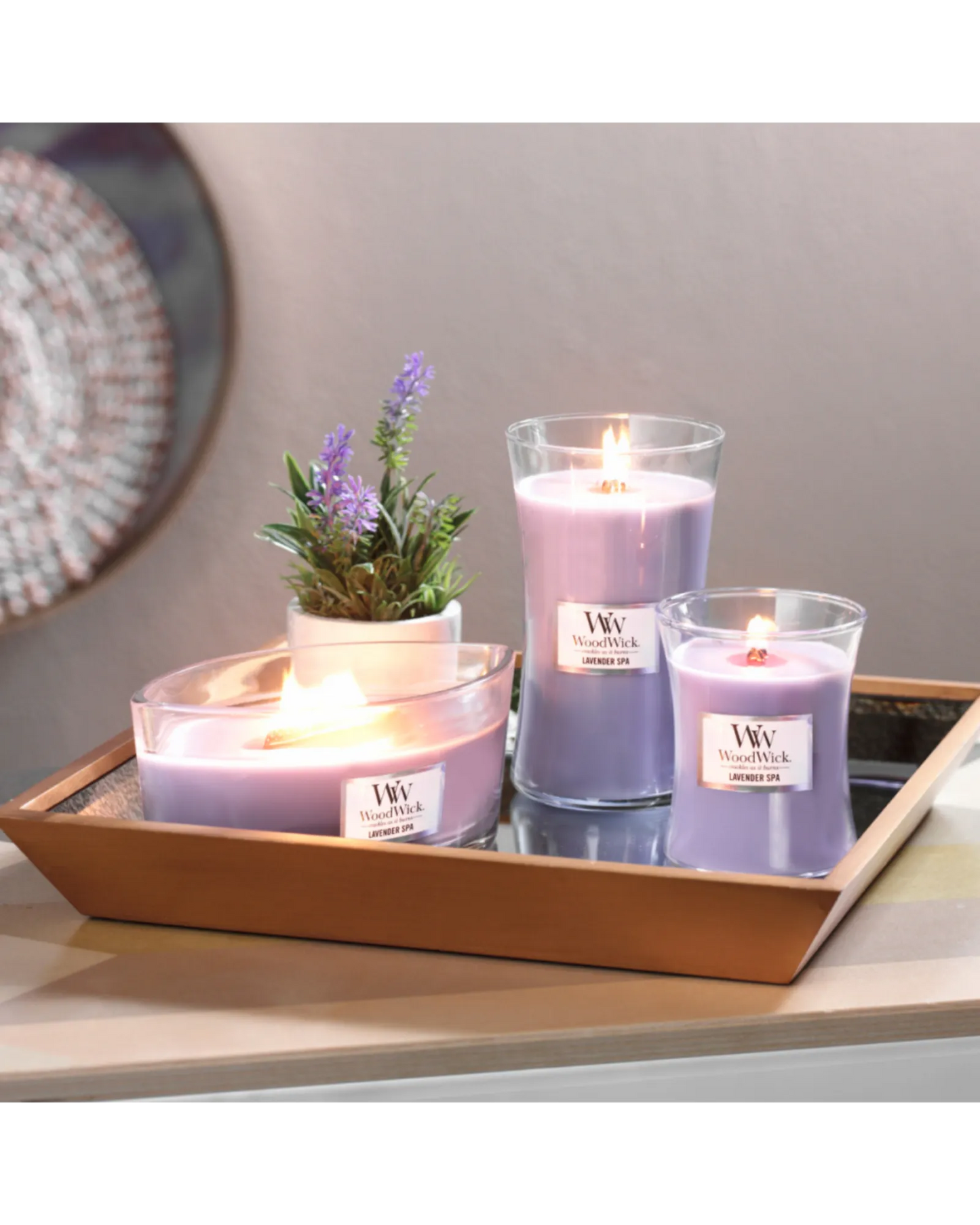WoodWick Candle Lavender Spla Medium