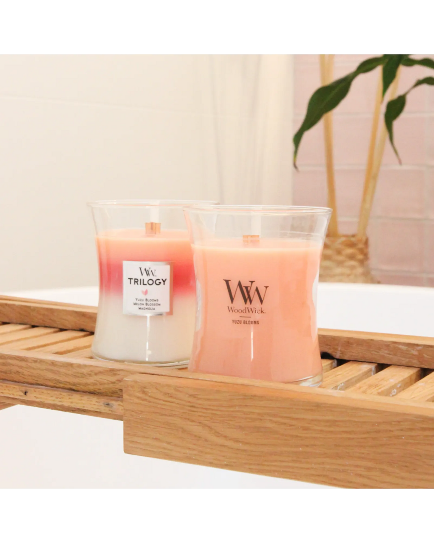 WoodWick Candle Trilogy Blooming Orchard Medium