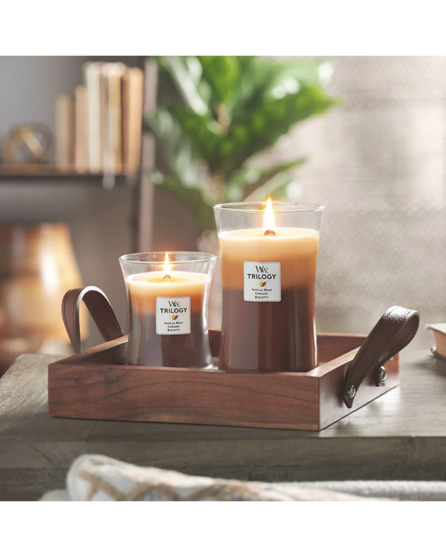 WoodWick Candle Trilogy Cafe Sweets Medium