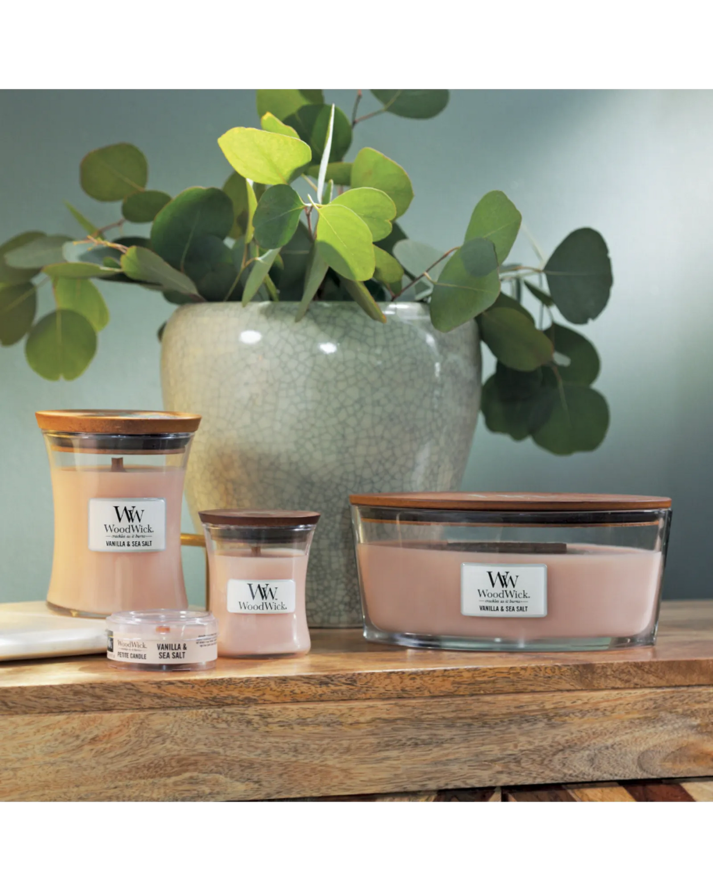 WoodWick Candle Vanilla & Sea Salt Medium