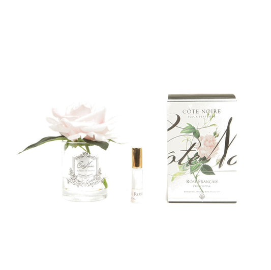 Cote Noire, Real Touch Flower, flower, decor, diffuser, Rose, French Pink