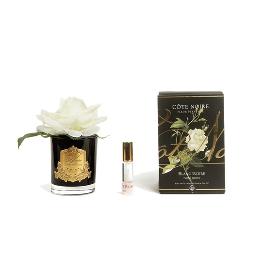 Cote Noire, Real Touch Flower, flower, decor, diffuser, Rose, Ivory White