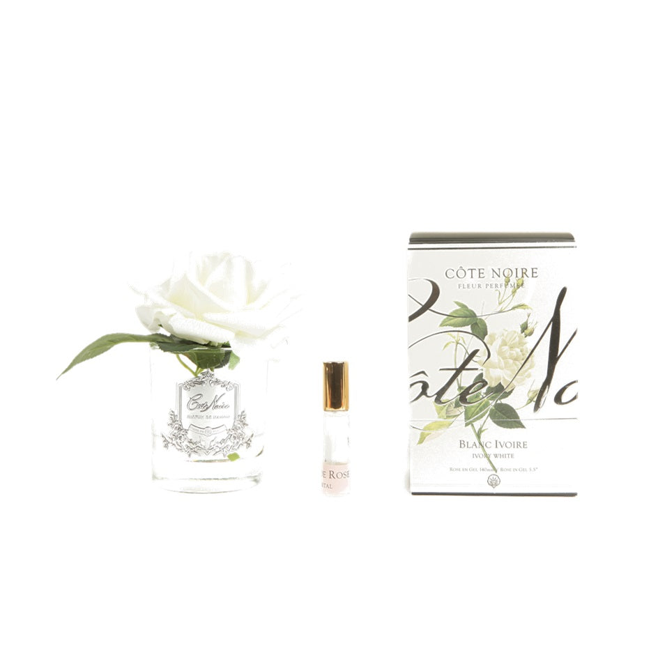 Cote Noire, Real Touch Flower, flower, decor, diffuser, Rose, Ivory White