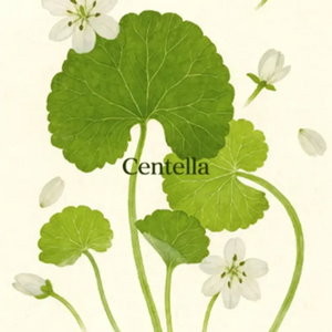 Centella