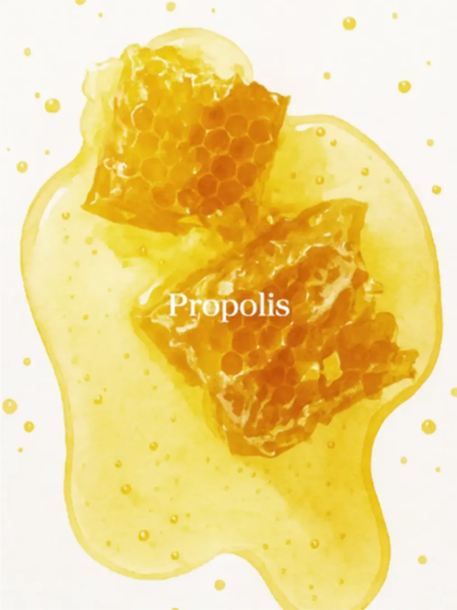 Beauty of Joseon Propolis Line