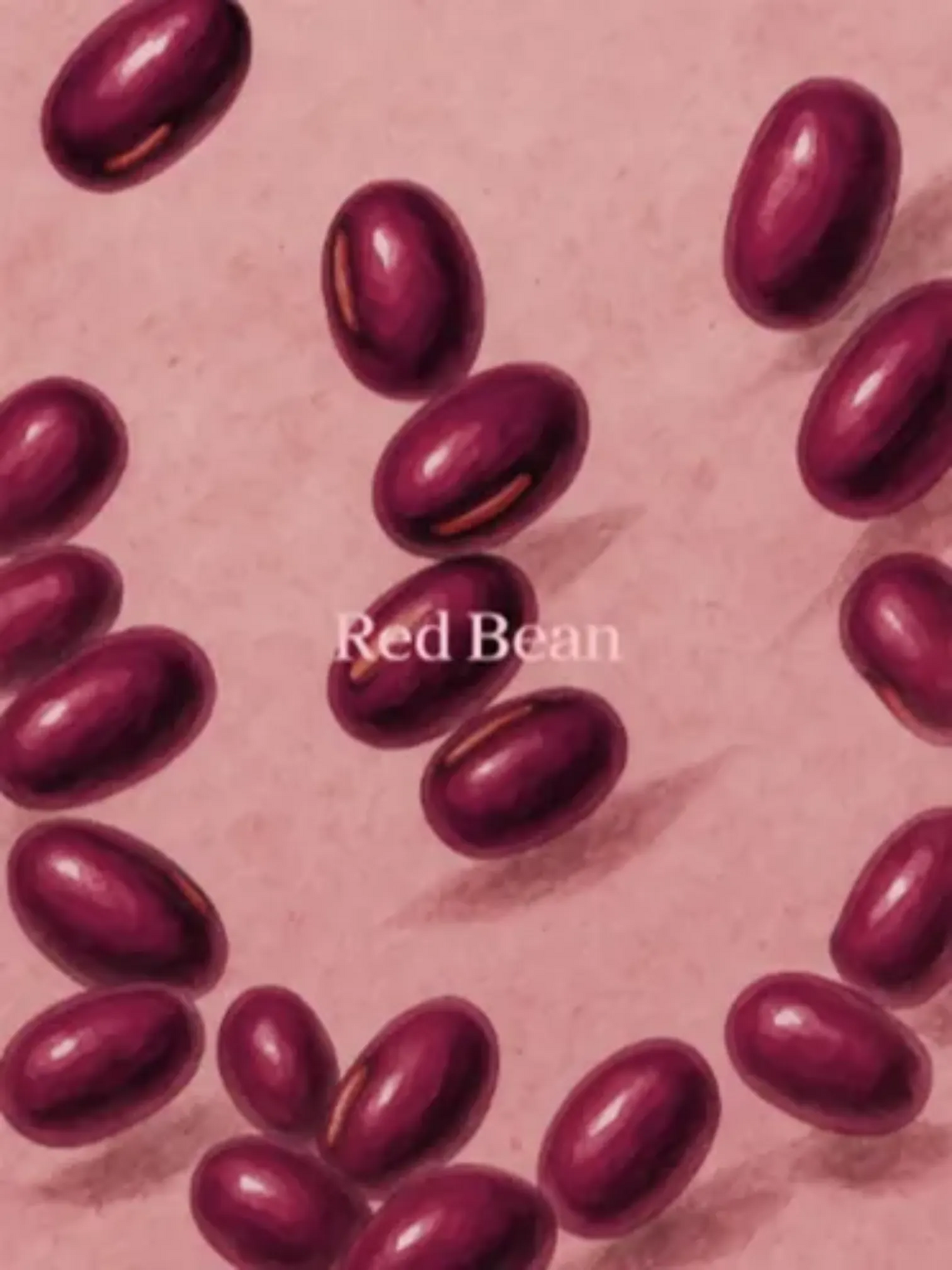 Beauty of Joseon Red Bean Line