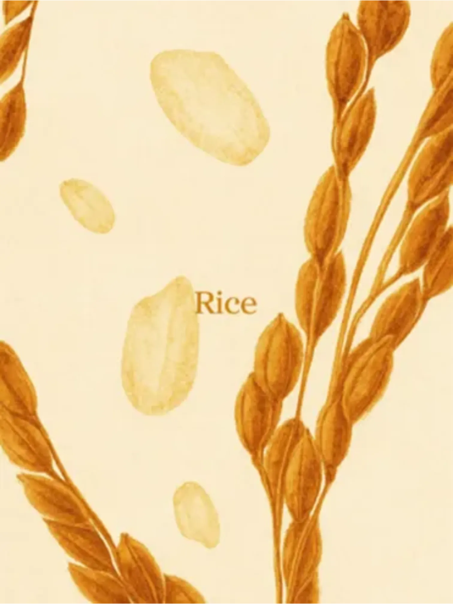 Rice – Life Pharmacy Meadowbank