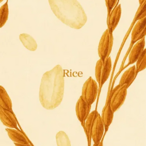 Rice