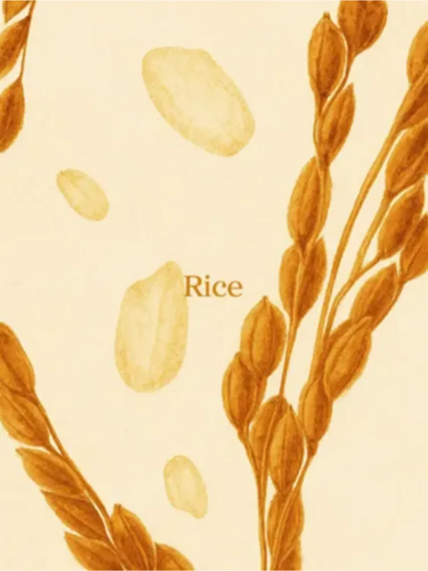Beauty of Joseon Rice Line