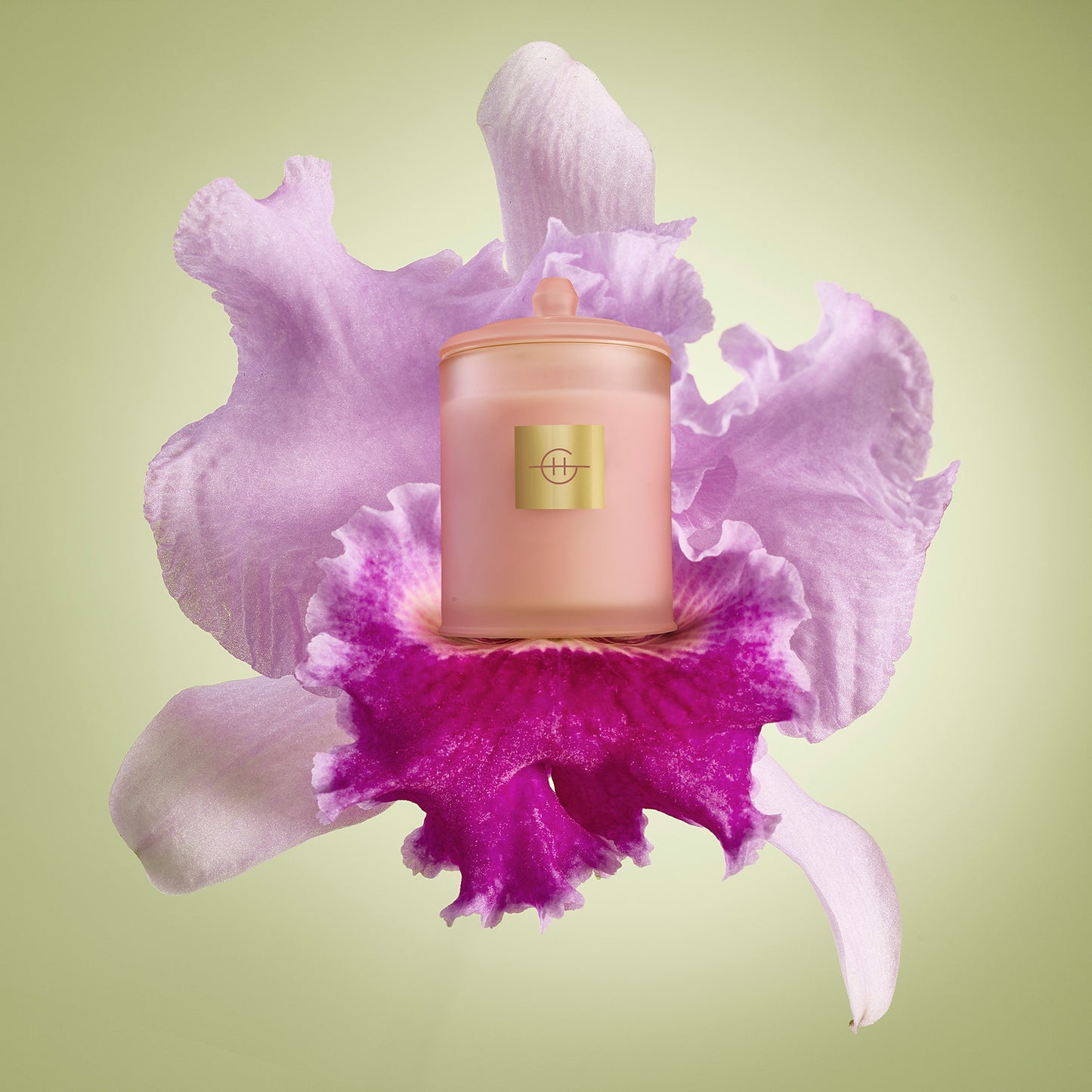 Glasshouse Radiance In Bloom 380g Triple Scented Soy Candle