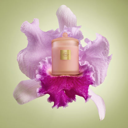 Glasshouse Radiance In Bloom 380g Triple Scented Soy Candle