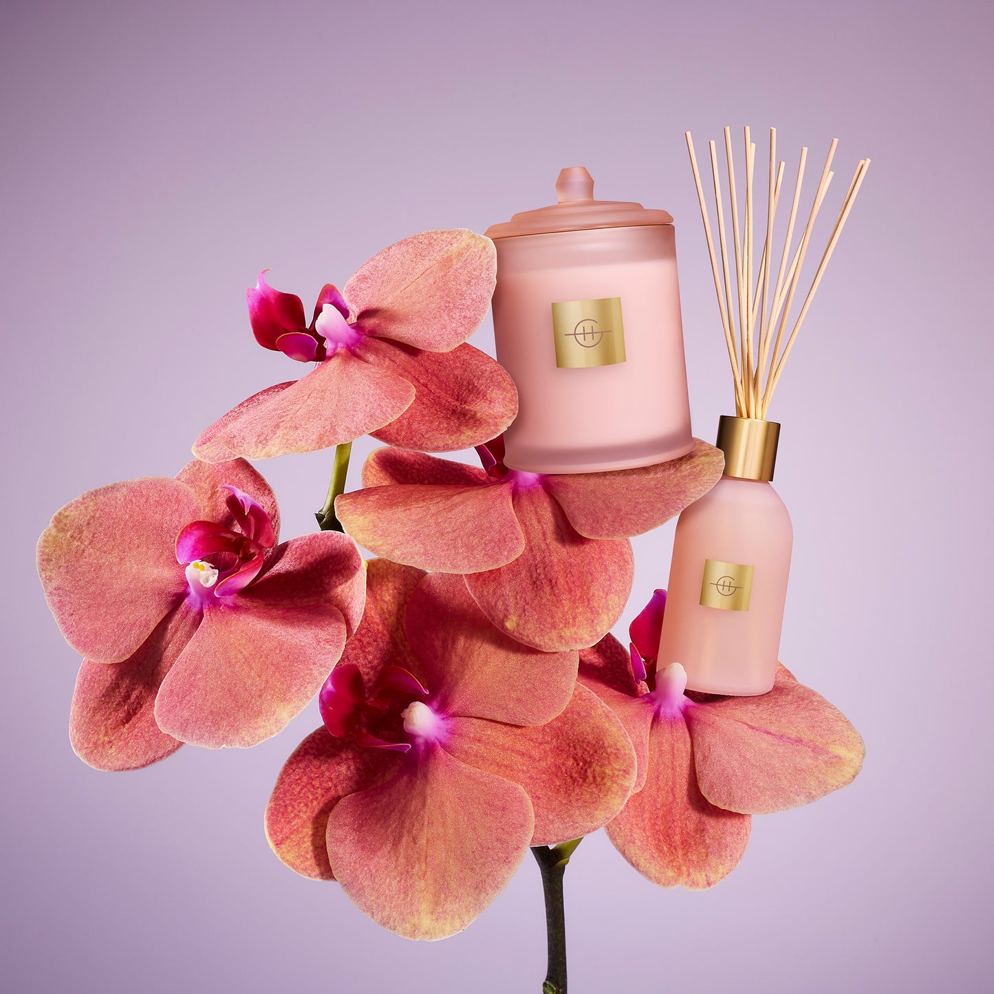 Glasshouse Radiance In Bloom 250ml Fragrance Diffuser