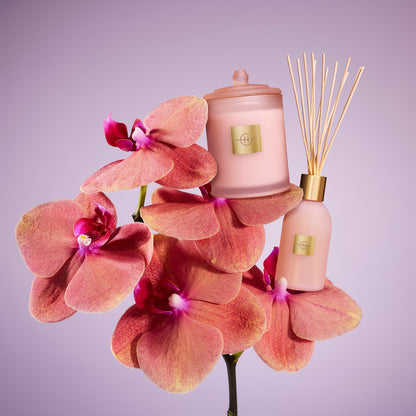 Glasshouse Radiance In Bloom 250ml Fragrance Diffuser