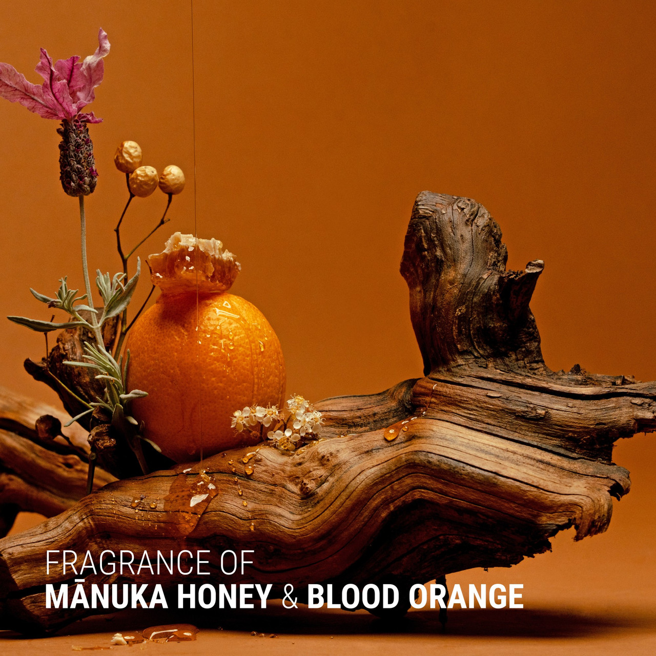 Mānuka+Orange Volume & Shine Conditioner 340ml