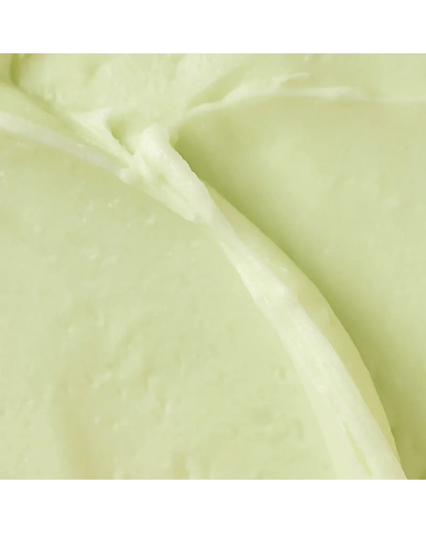 Matte Sun Stick: Mugwort + Camelia SPF50+18g