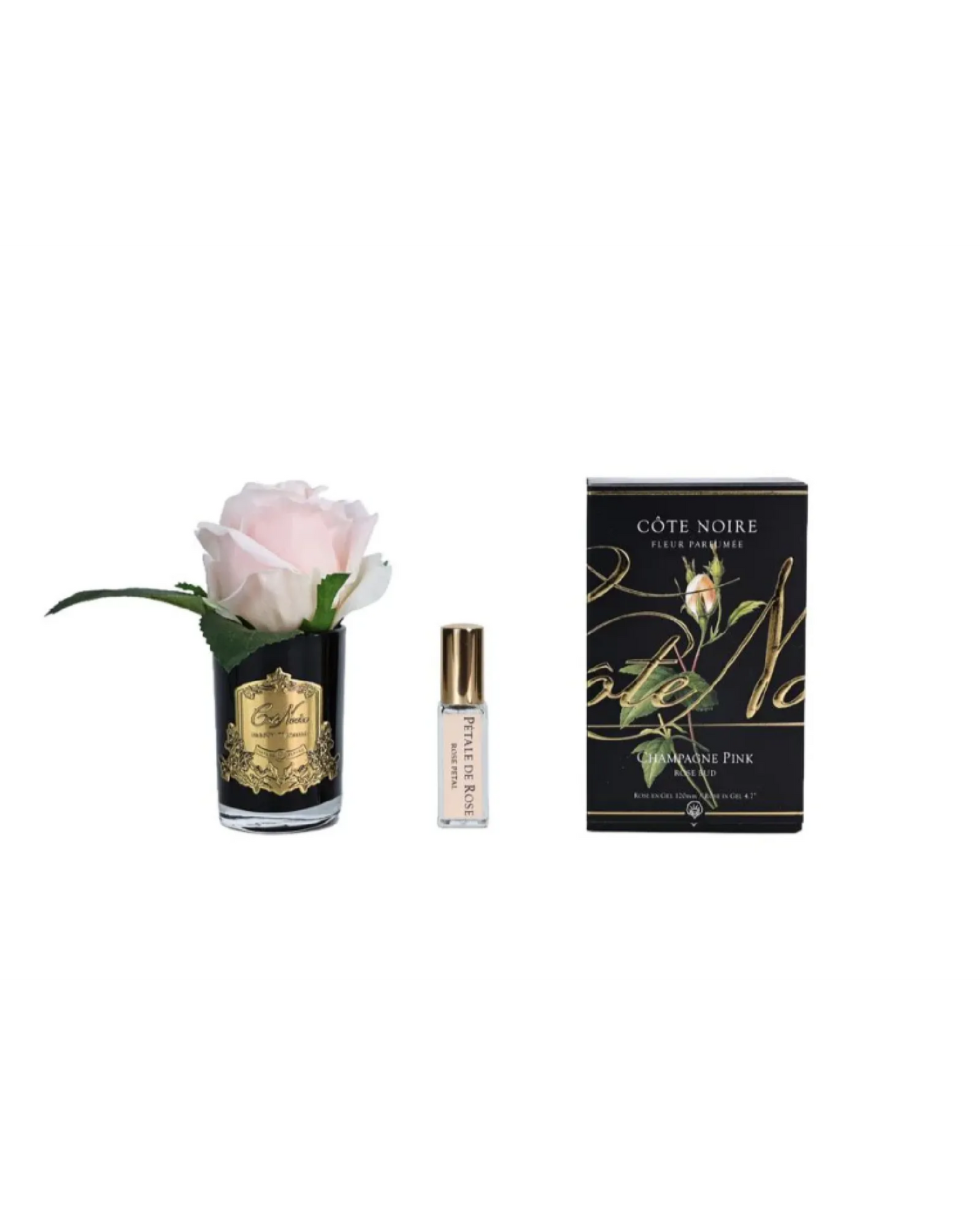 Cote Noire Rose Bud Champagne Pink  - Dark Glass with Gold Badge