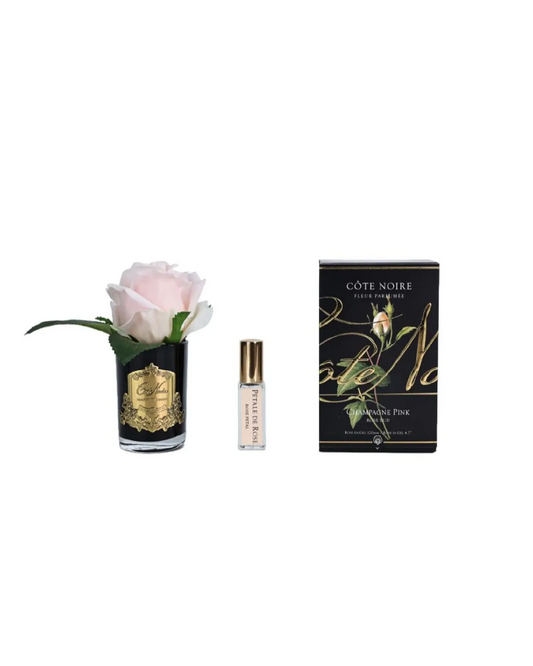 Cote Noire Rose Bud Champagne Pink  - Dark Glass with Gold Badge
