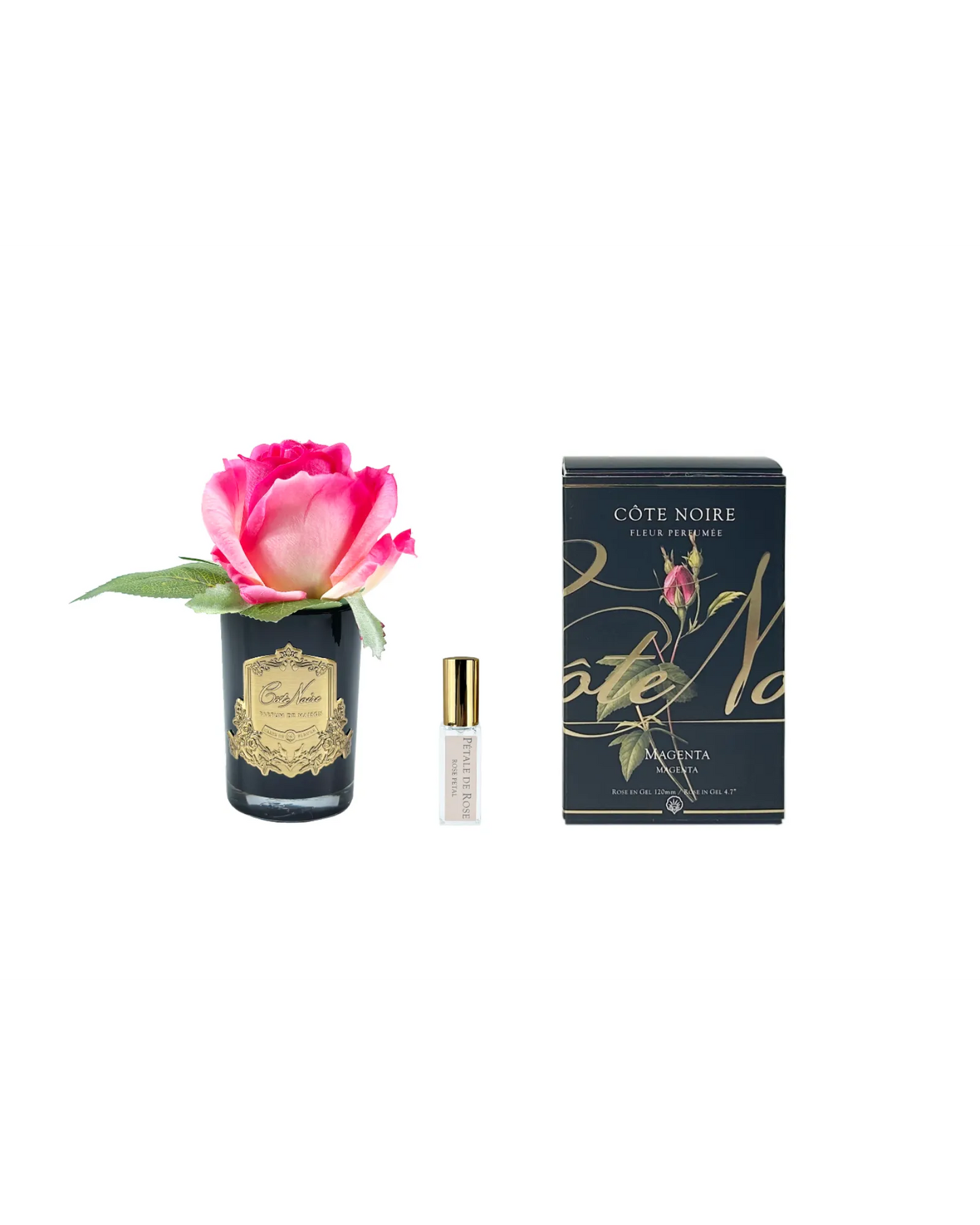 Cote Noire Rose Bud Magenta  - Dark Glass with Gold Badge