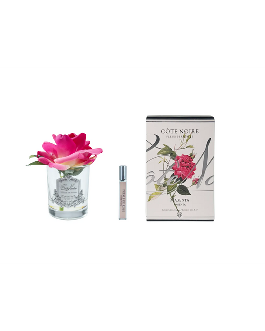 Cote Noire Single Rose Magenta - Clear Glass with Silver Badge