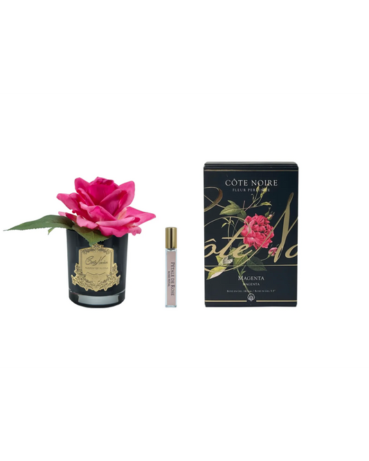 Cote Noire Single Rose Magenta - Dark Glass with Gold Badge