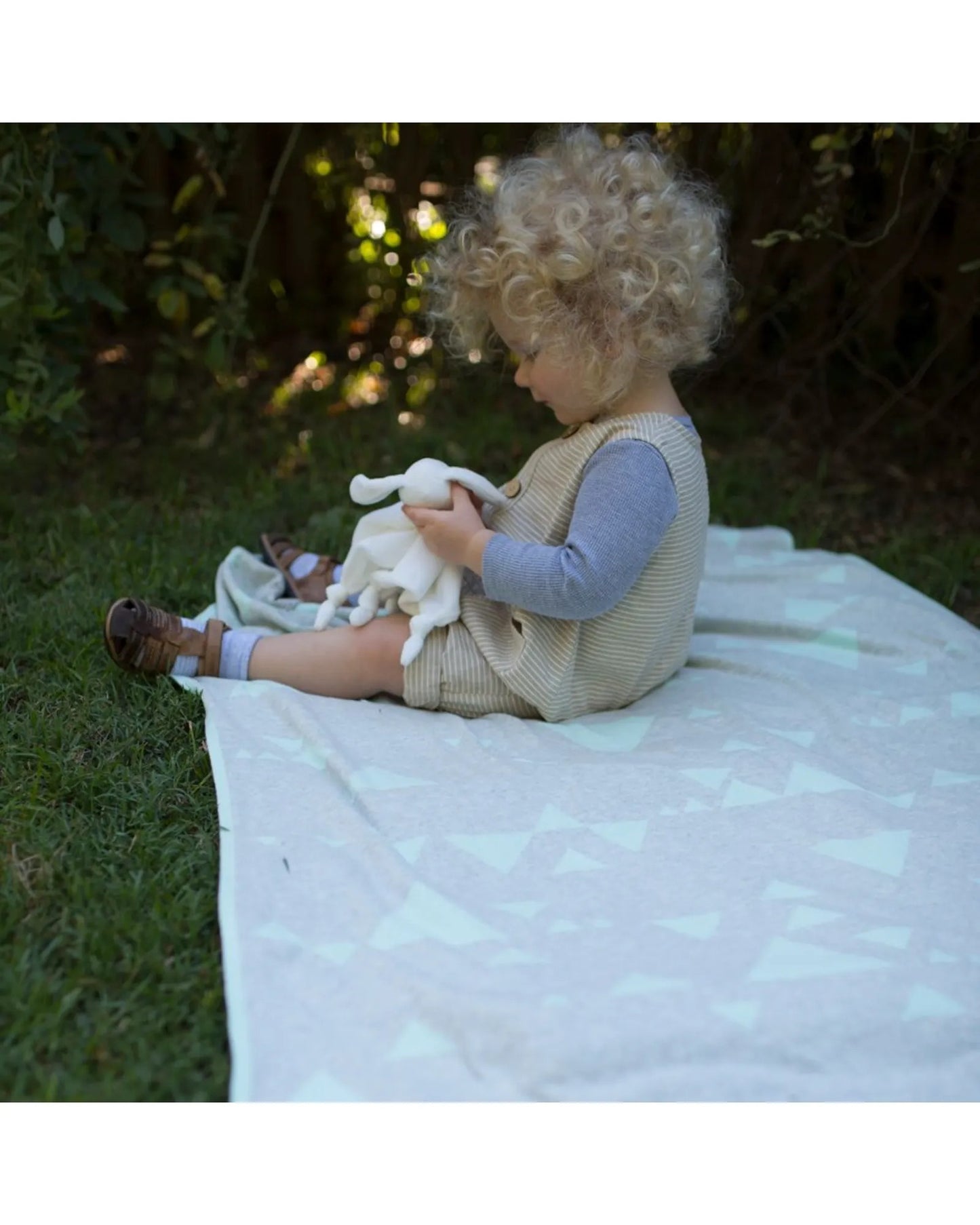 Cotton Cot Knit Blanket Sega