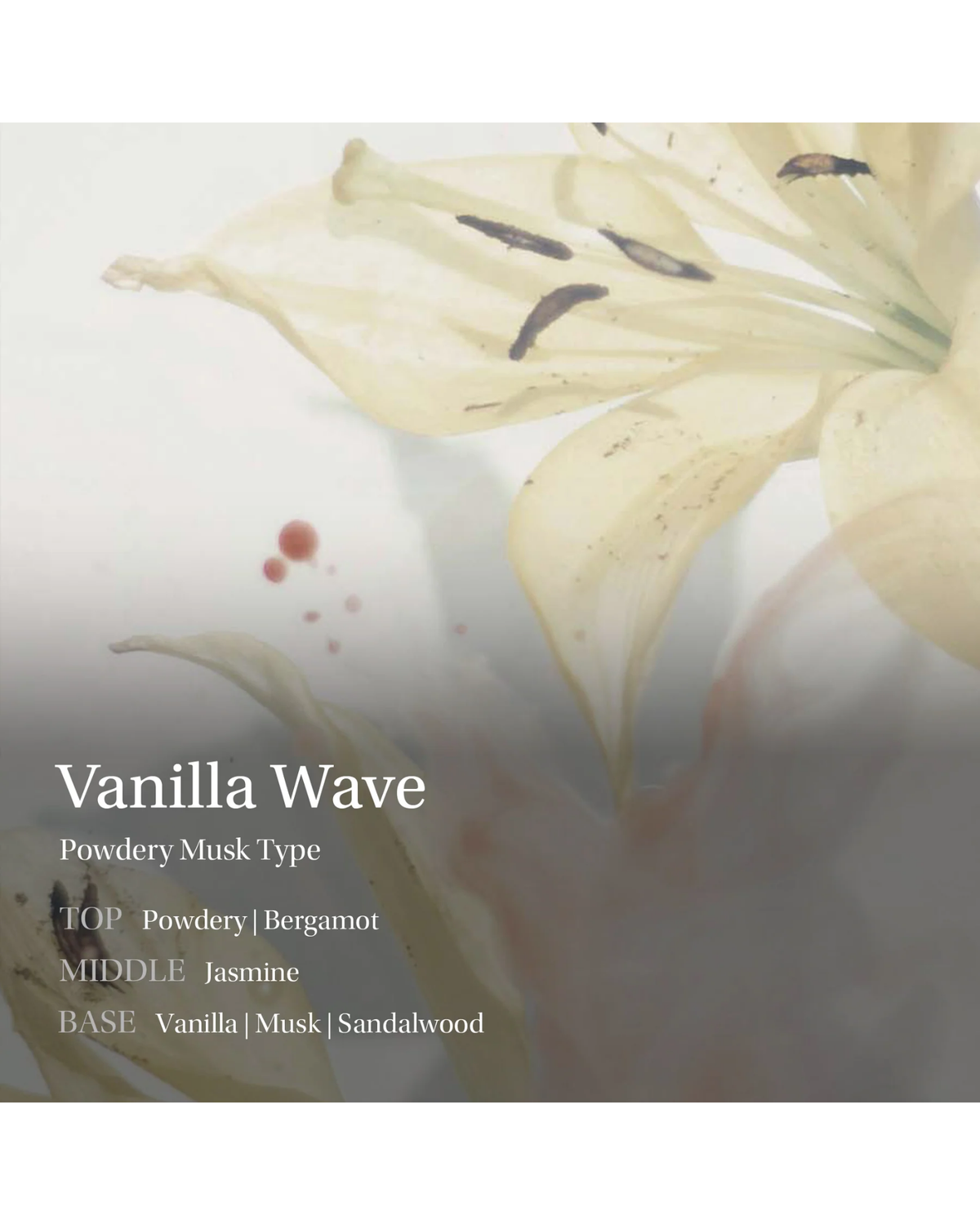 Objet by Kundal Hand Cream - Vanilla Wave 50ml