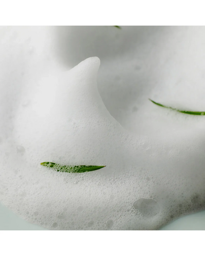 SomeByMi AHA BHA PHA 30 Days Miracle Acne Clear Foam 100ml