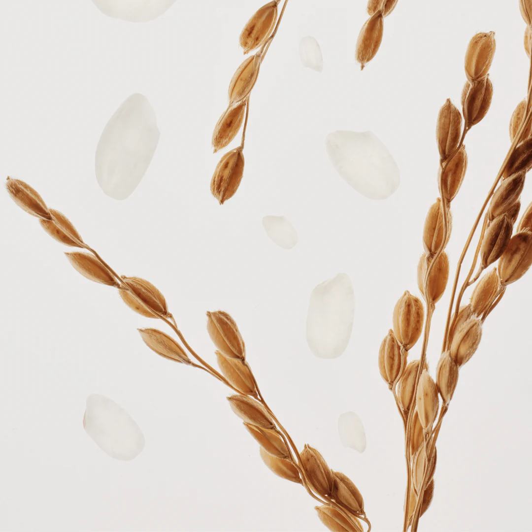 One Rice Line Rice – Life Pharmacy Meadowbank