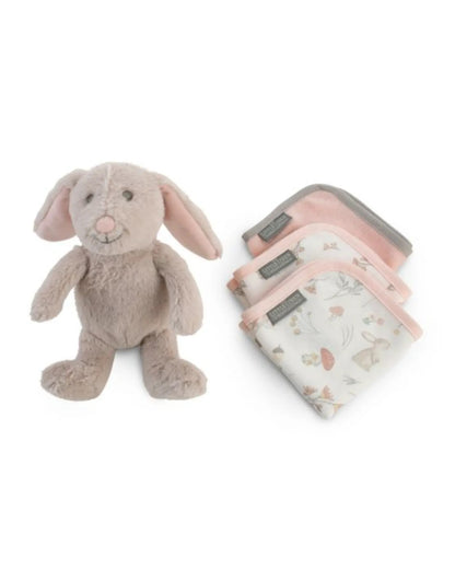 Plush Toy & Washers - Harvest Bunny